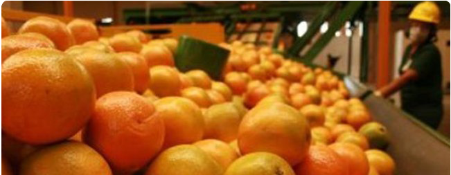 lmrs-assessoria-em-comercio-exterior_noticias-exportacao-de-suco-de-laranja